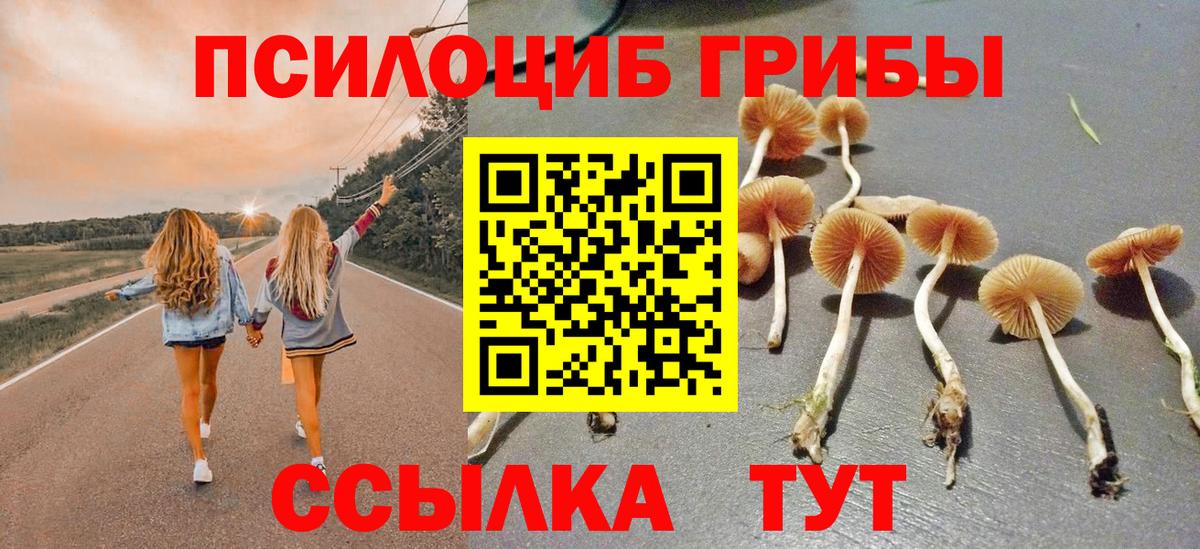 Щёлково  Псилоцибиновые грибы Psilocybe  Вход с VPN 